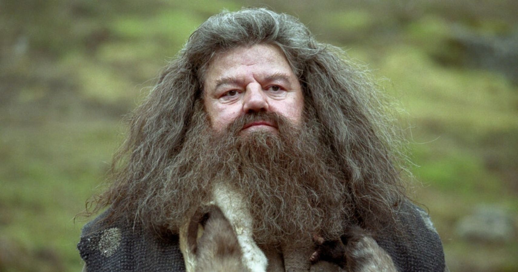 Harry Potter: los 5 mejores rasgos de Hagrid (y los 5 peores) |  ScreenRant