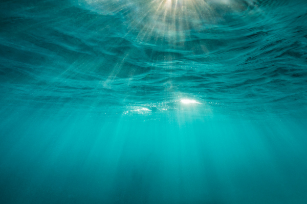 La tercera ola de Ocean Solutions Accelerator aborda un nuevo conjunto de desafíos acuáticos