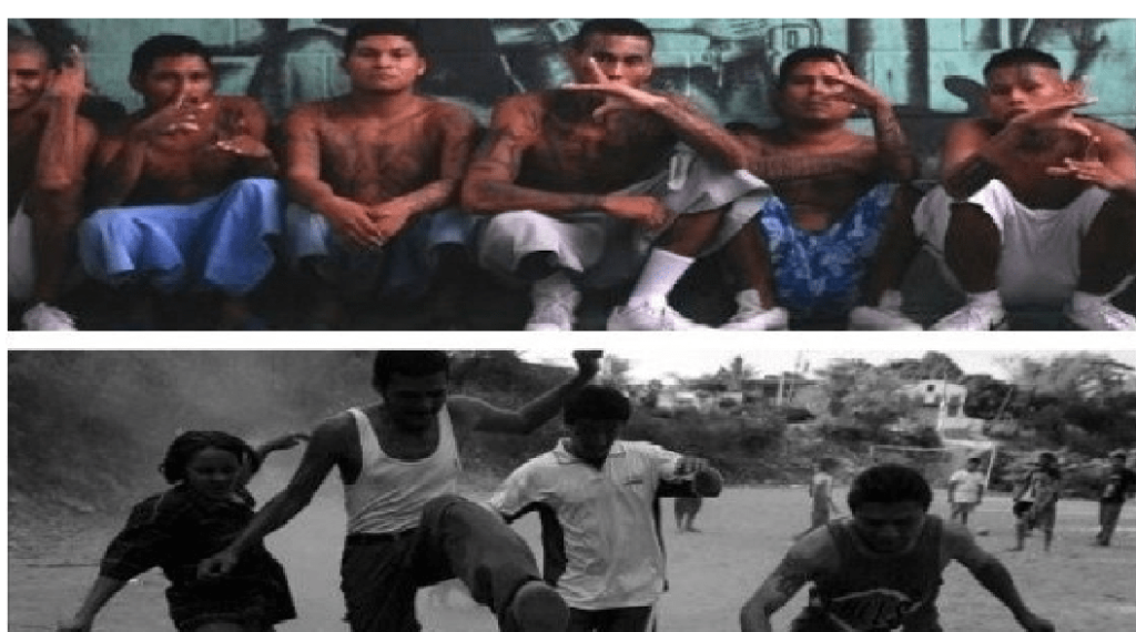 Las pandillas y bandas de Querétaro; historias de pandilleros criminales