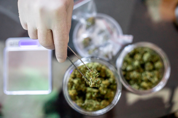 Meadow lanza una poderosa herramienta de marketing móvil para dispensarios de cannabis