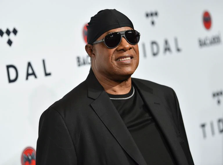 Una imagen de Stevie Wonder en 2017.