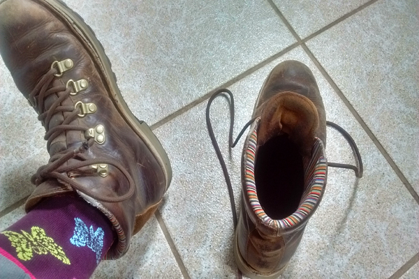 calcetines y zapatos para la prevención de garrapatas