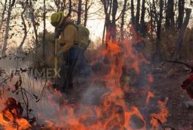 Reportan 21 incendios forestales activos en el país
