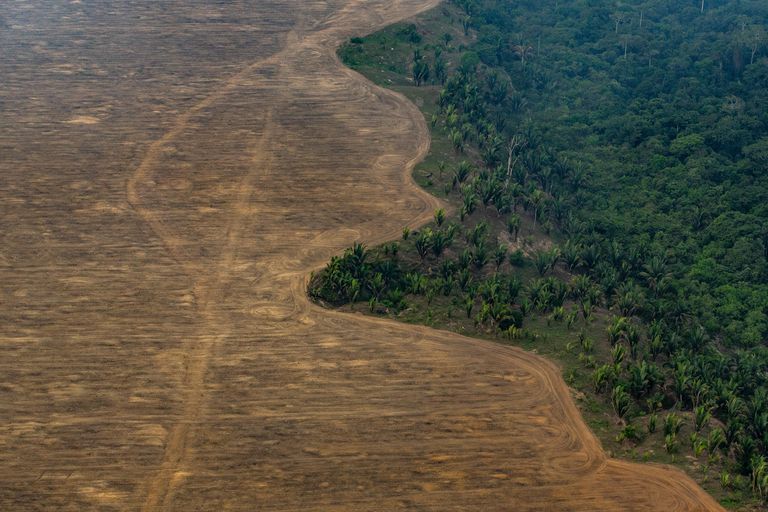 Zona de la selva del Amazonas deforestada para plantar soja cerca de Porto Velho (Brasil), en 2019.