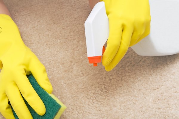 Usar una botella de spray y una esponja para limpiar una alfombra