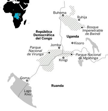 Gorilas en Uganda
