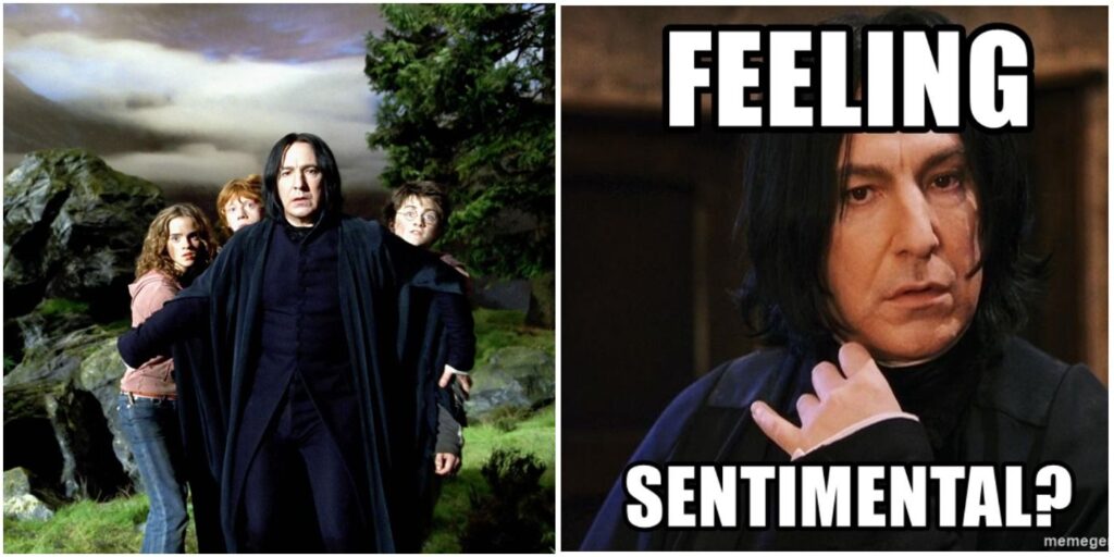 Harry Potter: 10 divertidos memes que demuestran que Snape se preocupaba por Harry