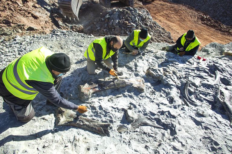 El equipo de paleontólogos con los restos del dinosaurio emparentado con el 'Iguanodon' de hace 126 millones de años, en el yacimiento de Mas Palau en Morella. .