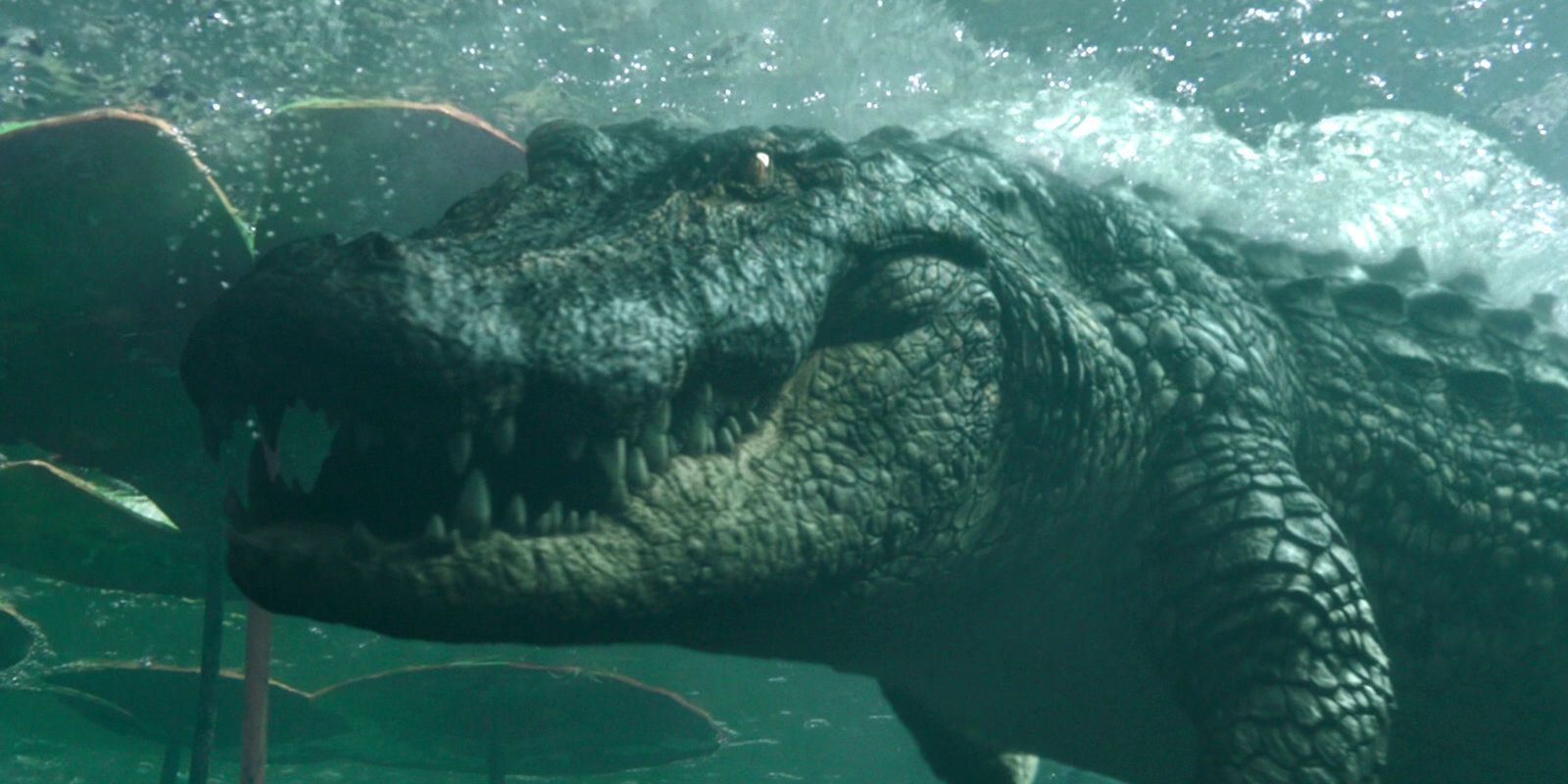 Tendencias de Jurassic Park después de que las fotos del enorme cocodrilo de  Florida se vuelvan viral - La Neta Neta