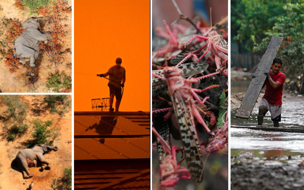 2020: año de desastres, incendios, polvo, ola de calor, plagas…