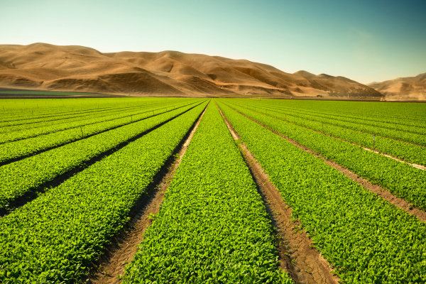 Las tierras agrícolas podrían ser la próxima gran clase de activos modernizada por las nuevas empresas del mercado
