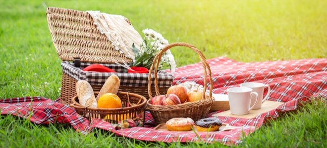 Qué llevar a un picnic