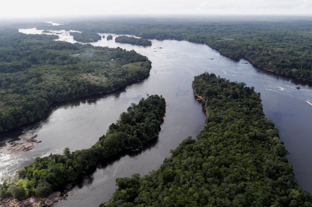 Un fondo para salvar la Amazonía compatible con el crecimiento económico