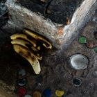 Merienda para los niños de la familia del señor Mario Manuel López Flores en Chilón, Chiapas.