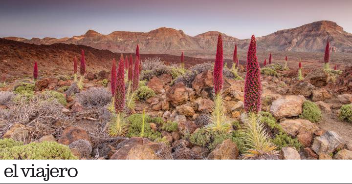 Tenerife, la isla volcán