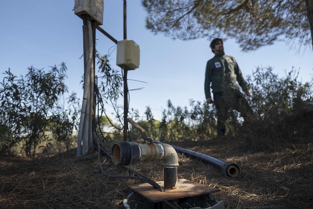 Comienza el mayor juicio por el saqueo del agua de Doñana