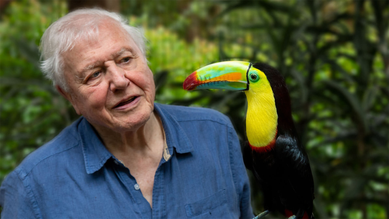 David Attenborough Docuseries ‘Life in Color’ llegará a Netflix en abril de 2021