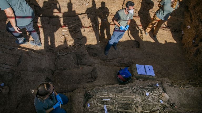 Personal técnico trabaja en la exhumación de la fosa común de Pico Reja, en Sevilla,  el pasado julio.
