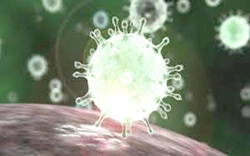 El número de muertos por coronavirus en EE. UU. Se acerca al hito de 500.000