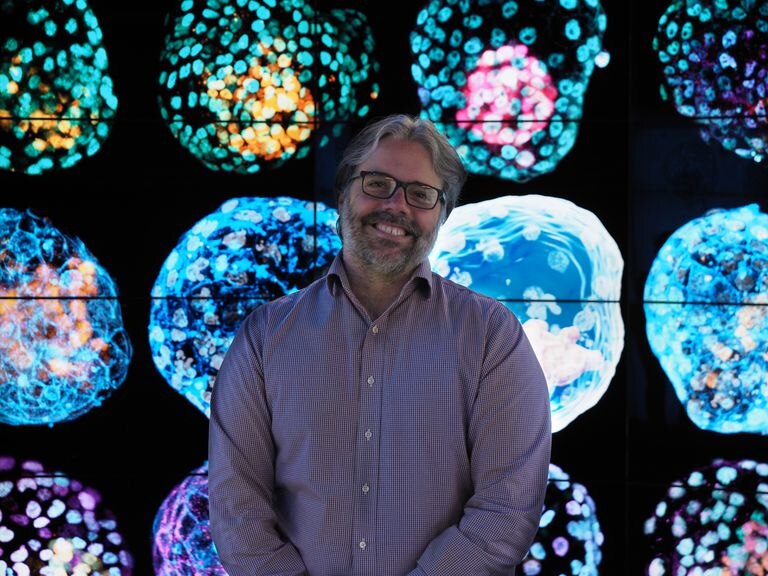 El bioquímico José Polo posa junto a imágenes de sus seudoembriones humanos.