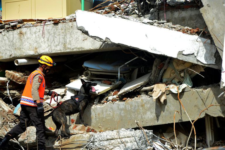 Un oficial de policía busca víctimas con un perro rastreador de la unidad K9 entre las ruinas de un edificio hospitalario que se derrumbó después de un terremoto en Mamuju, provincia de Sulawesi Occidental (Indonesia).