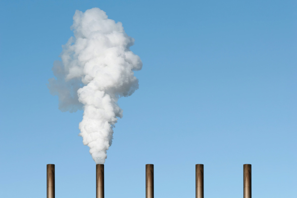 Las iniciativas corporativas de sostenibilidad pueden abrir puertas para las nuevas empresas de compensación de carbono