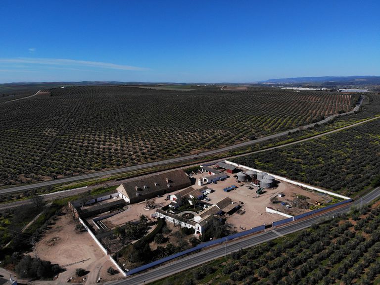 Vista aérea de la hacienda 'Buenavista' en la finca del mismo nombre en la localidad cordobesa de El Carpio y propiedad de la Casa de Alba.