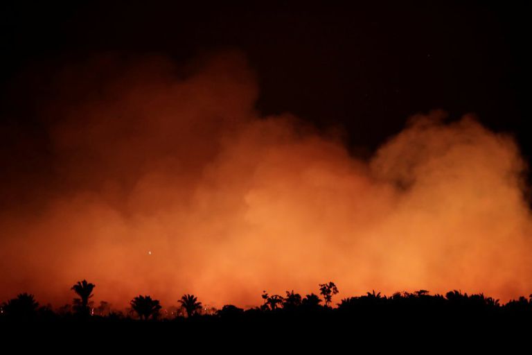 Incendio en la selva amazónica cerca de Humaita, estado de Amazonas (Brasil), el 17 de agosto de 2019.