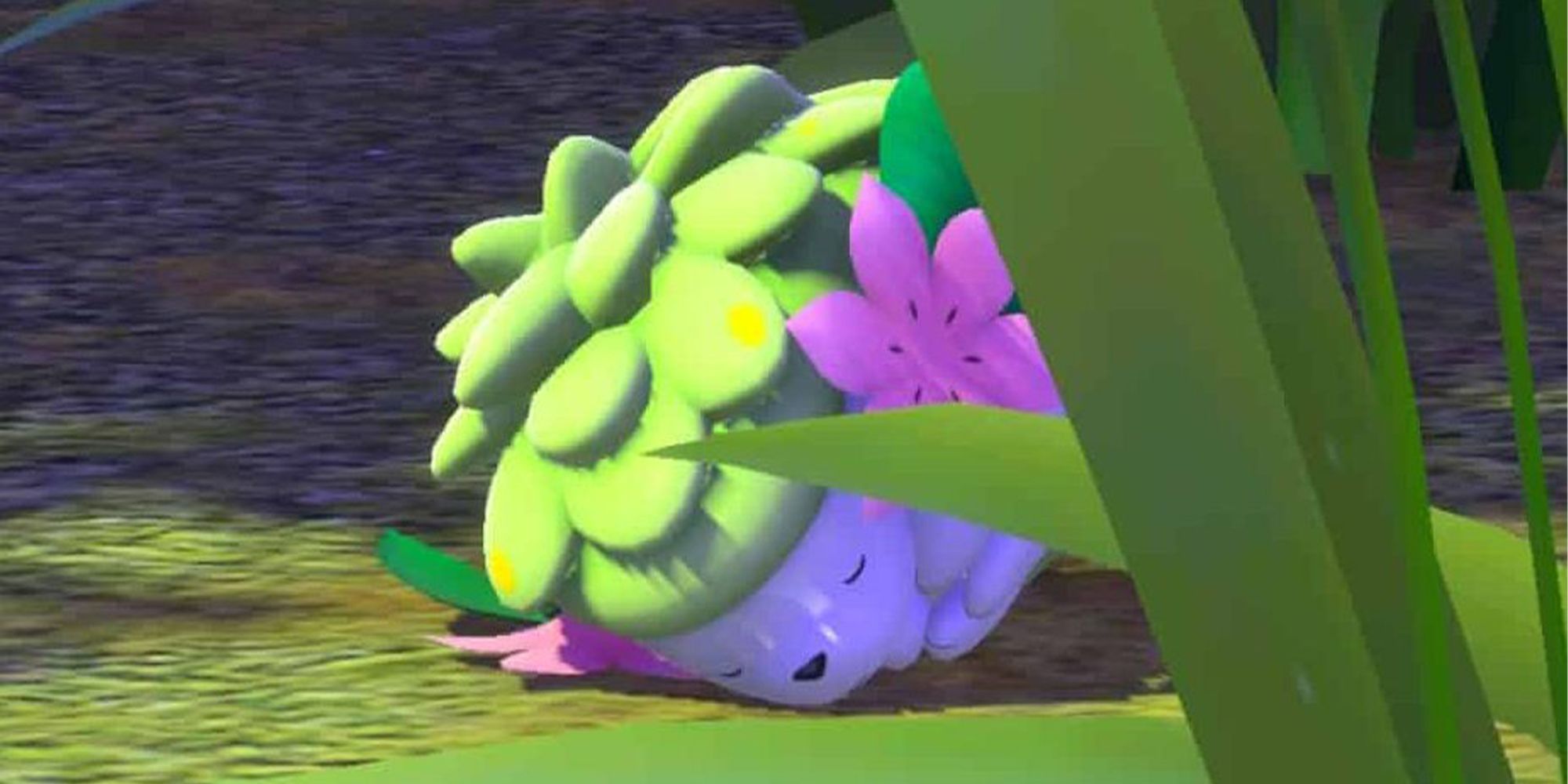 Cómo encontrar al legendario Shaymin en Pokémon Snap »Wiki Ùtil