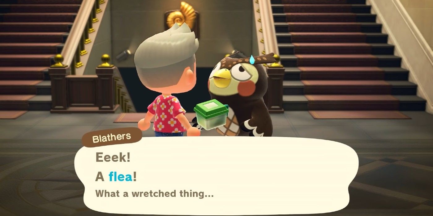 El jugador de Animal Crossing usa bichos para aterrorizar a Blathers
