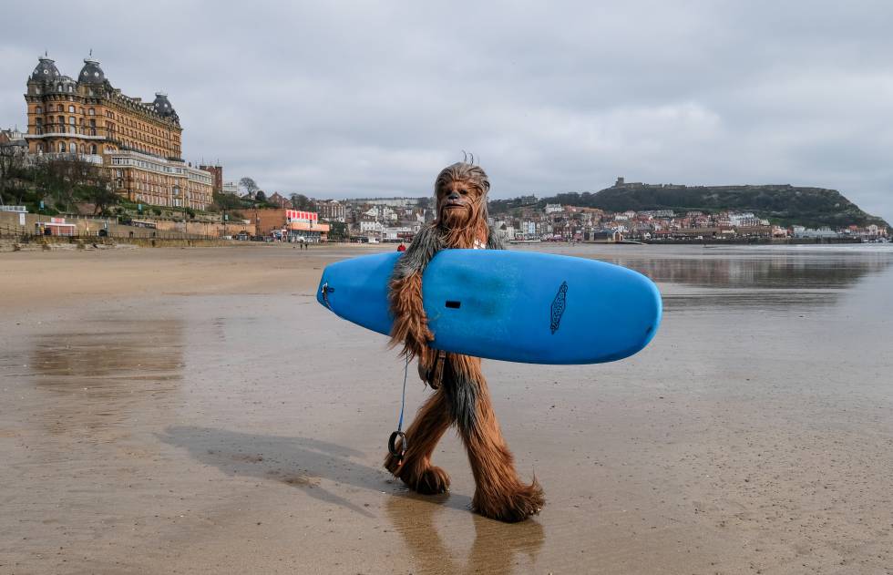 Un surfista disfrazado de Chewbacca durante un festival de ciencia ficción en Scarborough, población costera de North Yorkshire (Inglaterra).
