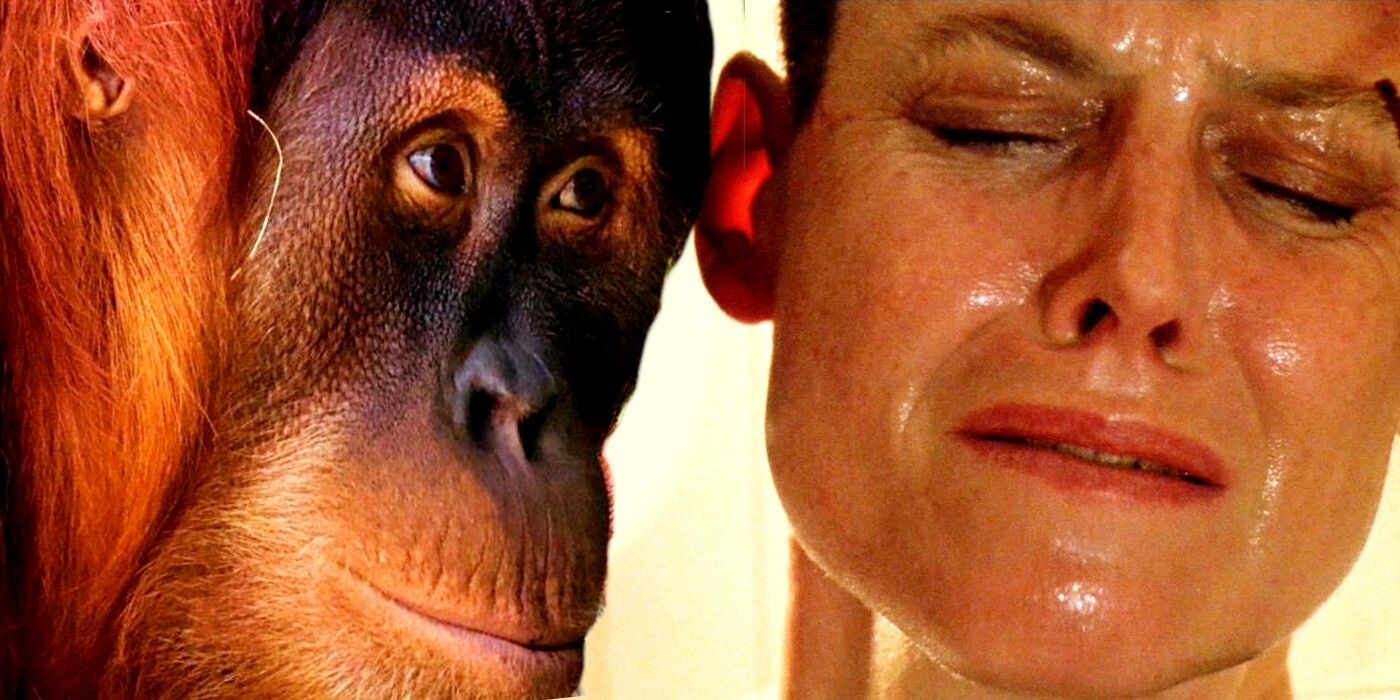 Alien: el xenomorfo original era un orangután afeitado