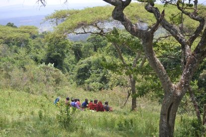 Reunión de mujeres masai bajo una acacia africana en Lendikinya, una aldea del distrito de Monduli, en el noroeste de Tanzania.