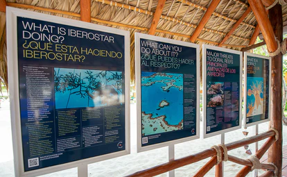 El proyecto WOC Discovery acerca la vida submarina a los viajeros e incorpora su compromiso en la experiencia de cliente.