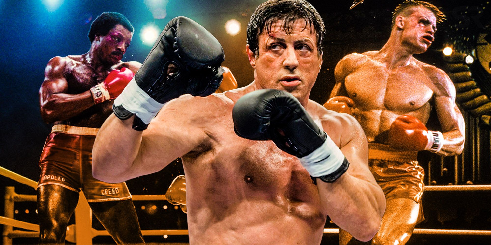 Cuántas peleas ganó Rocky en su carrera de boxeo