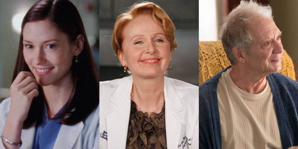 Grey's Anatomy: todos los miembros de la familia de Meredith, clasificados por simpatía