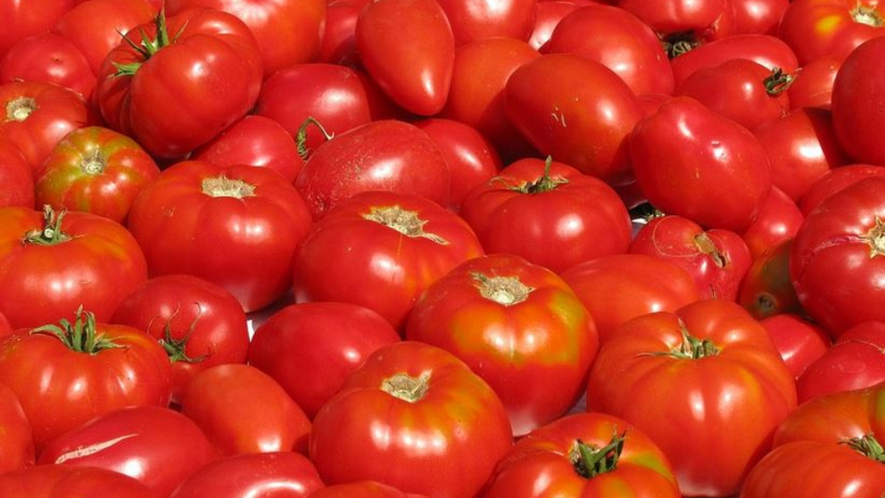 Los diferentes usos en la cosmética que nos da el tomate