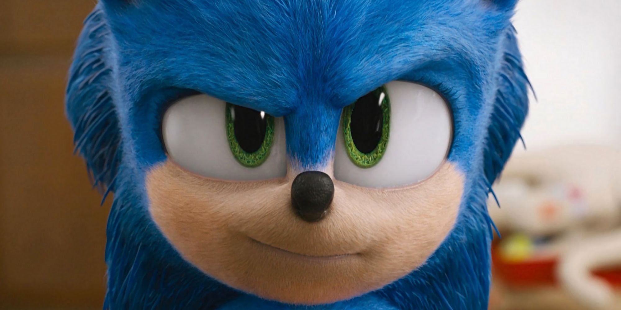 Según se informa, SEGA está planeando el parque temático Sonic the Hedgehog después del éxito de la película
