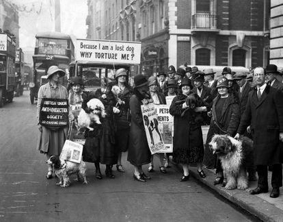 Manifestación de defensores de los animales en Londres, en enero de 1925.