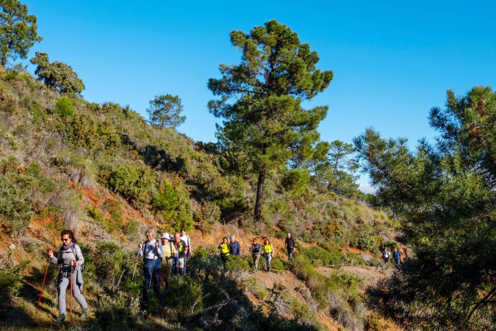 Un grupo de personas hace trekking en el parque nacional Sierra de las Nieves, en Málaga.