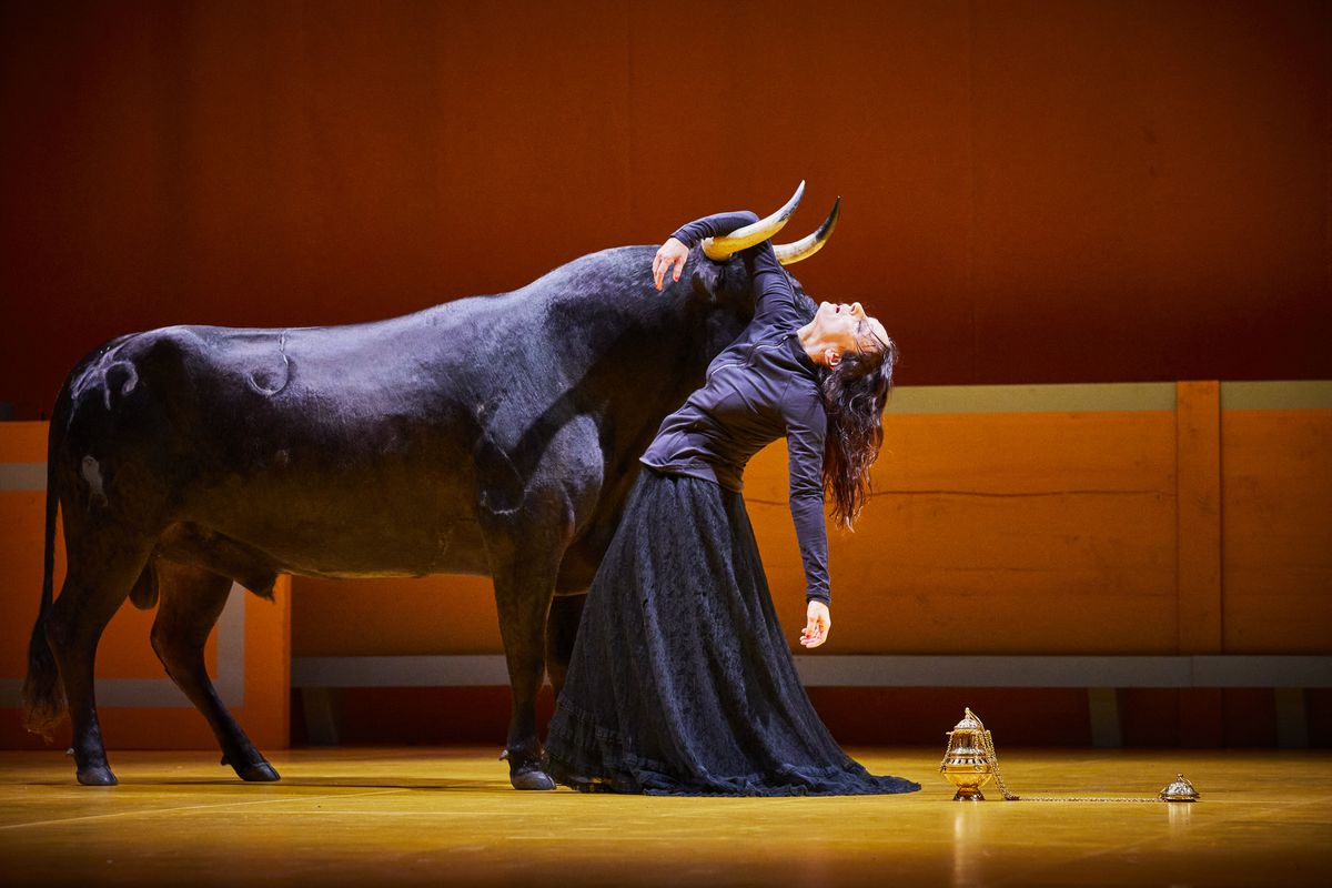 La faena taurina de Angélica Liddell sacude Aviñón