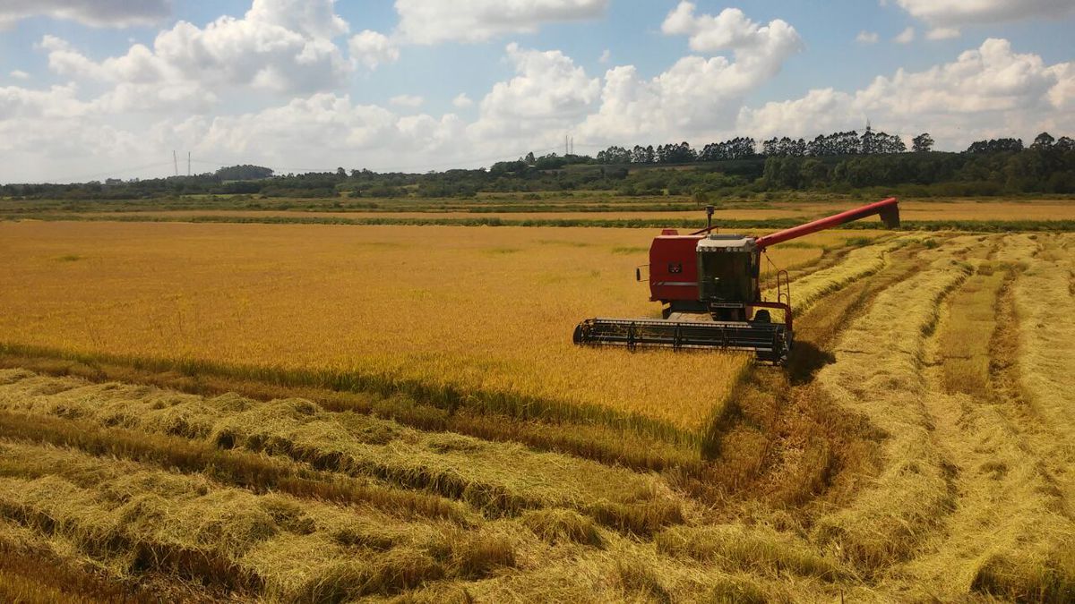 Los trabajadores rurales sin tierra de Brasil entran en el mercado de capitales