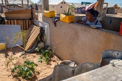 Khadija Fall, de 25 años y vecina del asentamiento provisional de Khar Yalla, mira su huerto. 