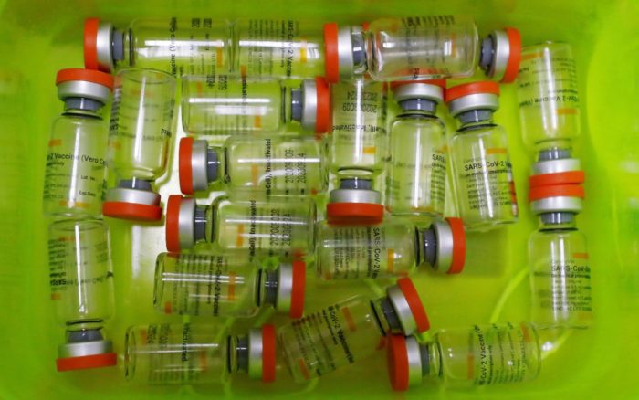 Anticuerpos con vacuna de Sinovac se disipan luego de seis meses: estudio