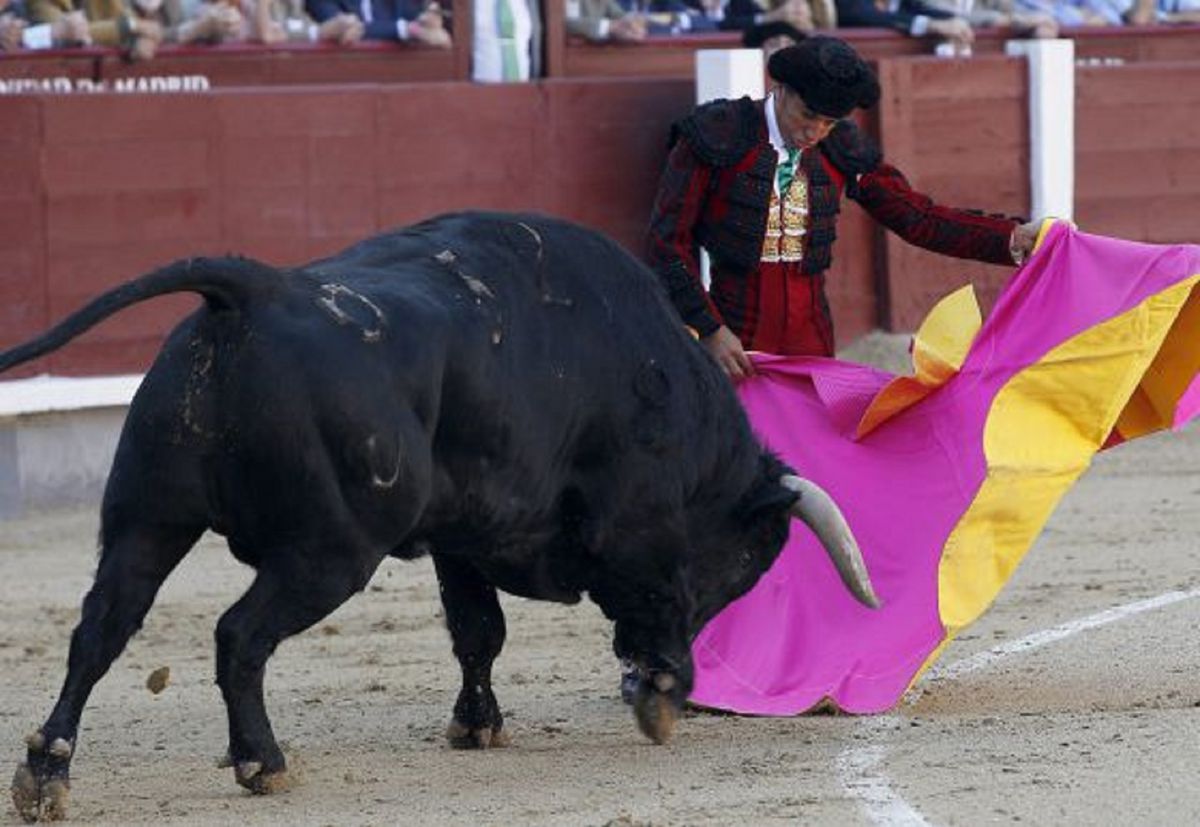 El Fundi, director de escuela taurina, presidente de los toreros y un torerazo