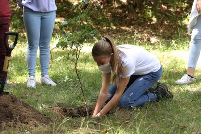 La infanta Sofía, plantado un árbol en el Hayedo de Montejo, el 14 de julio de 2021.
