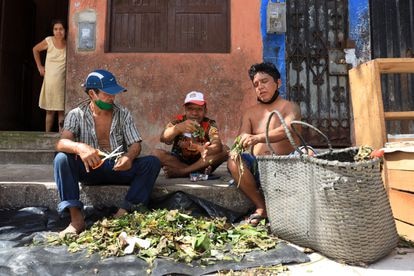 Tres hombres venden hojas de tabaco en un mercado en Iquitos (Perú).