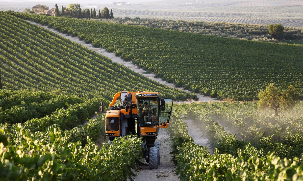 La energía de la España rural