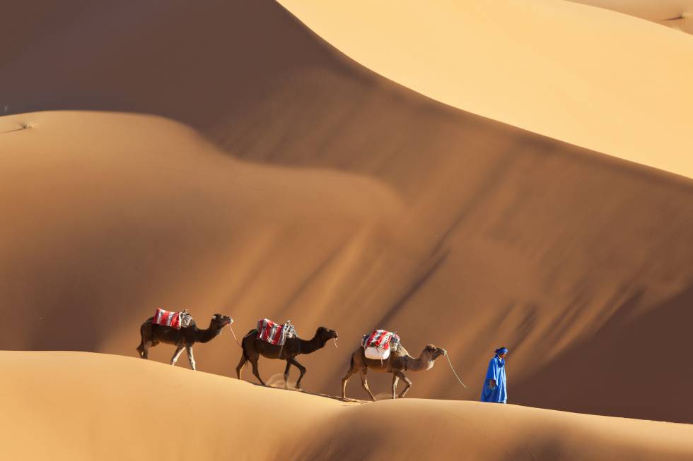 Dunas de Erg Chebbi (Marruecos), en el desierto del Sáhara.