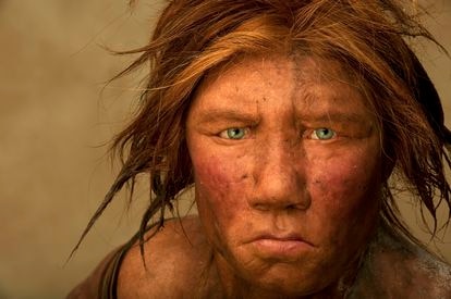 Recreación del rostro de una mujer neandertal por los artistas holandeses Adrie y Alfons Kennis.